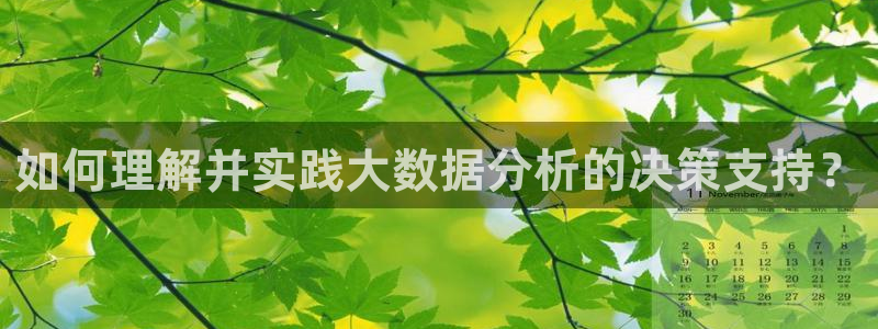 如何理解并实践大数据分析的决策支持？