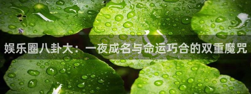 娱乐圈八卦大：一夜成名与命运巧合的双重魔咒