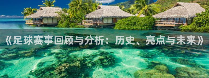 《足球赛事回顾与分析：历史、亮点与未来》