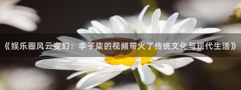《娱乐圈风云变幻：李子柒的视频带火了传统文化与现代生活》