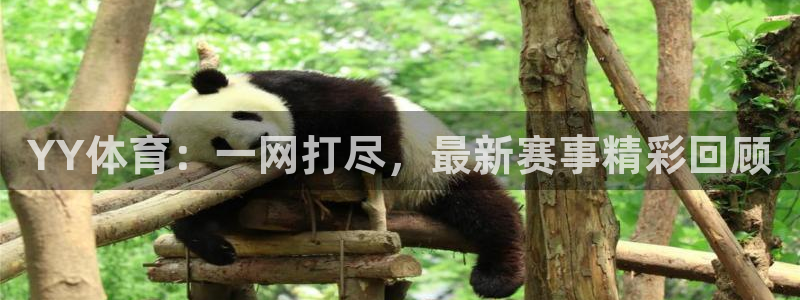 YY体育：一网打尽，最新赛事精彩回顾