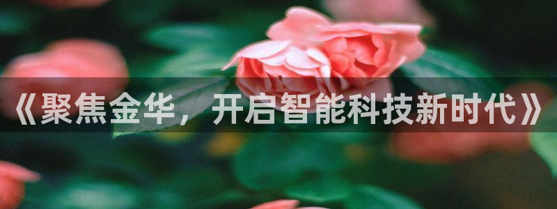 《聚焦金华，开启智能科技新时代》