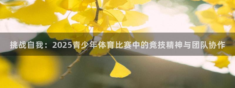 挑战自我：2025青少年体育比赛中的竞技精神与团队协作