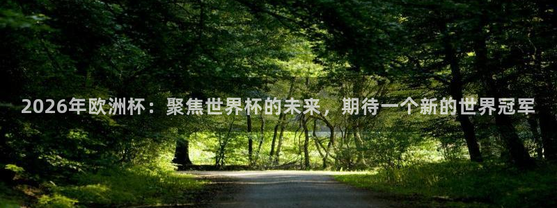 2026年欧洲杯：聚焦世界杯的未来，期待一个新的世界冠军