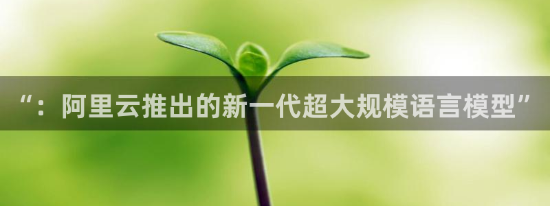 “：阿里云推出的新一代超大规模语言模型”