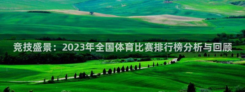 竞技盛景：2023年全国体育比赛排行榜分析与回顾