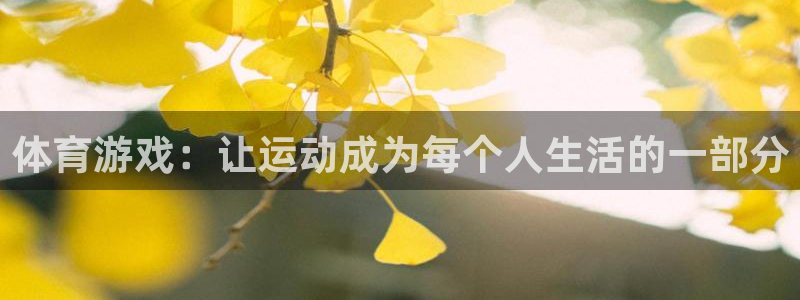 体育游戏：让运动成为每个人生活的一部分