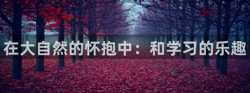 在大自然的怀抱中：和学习的乐趣