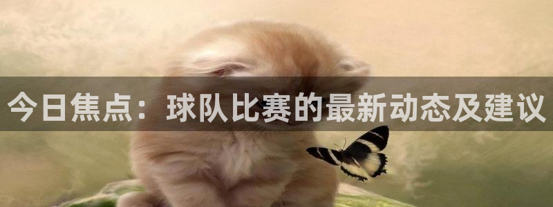 今日焦点：球队比赛的最新动态及建议