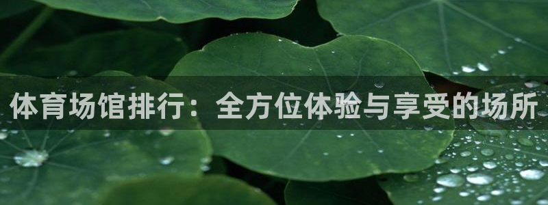 体育场馆排行：全方位体验与享受的场所