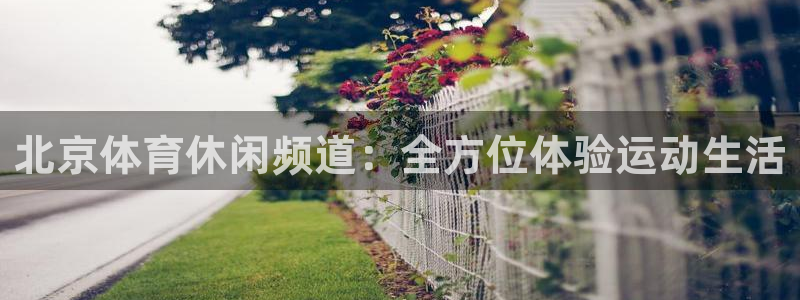 北京体育休闲频道：全方位体验运动生活
