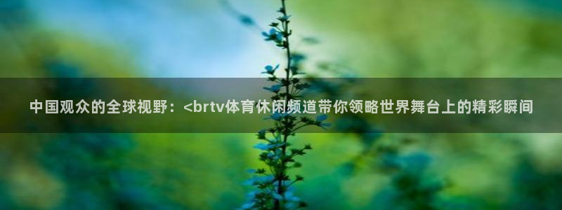 中国观众的全球视野：<brtv体育休闲频道带你领略世界舞台上的精彩瞬间
