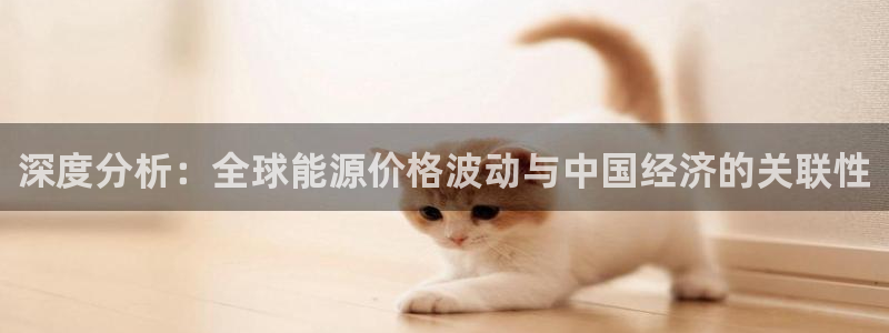深度分析：全球能源价格波动与中国经济的关联性