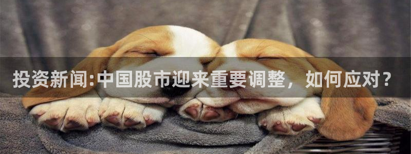 投资新闻:中国股市迎来重要调整，如何应对？