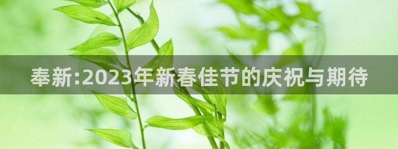 奉新:2023年新春佳节的庆祝与期待