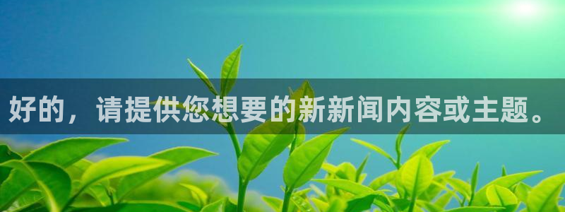 好的，请提供您想要的新新闻内容或主题。